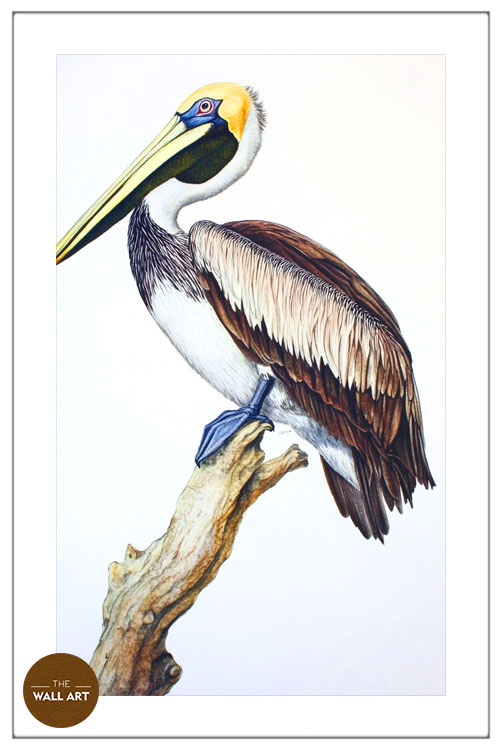 images/products/pelican_on_branch/pelican_on branch_WHITE_PWB.jpg